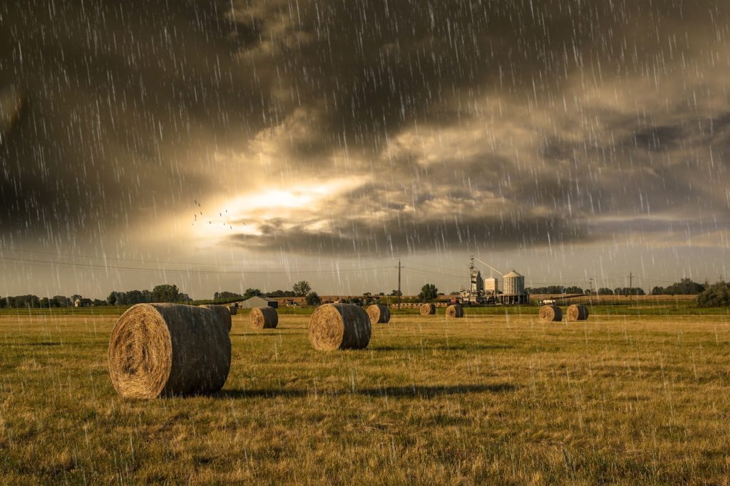 Recent Rains Boost Soil Moisture Levels Over The Past Week - Vimarsana News