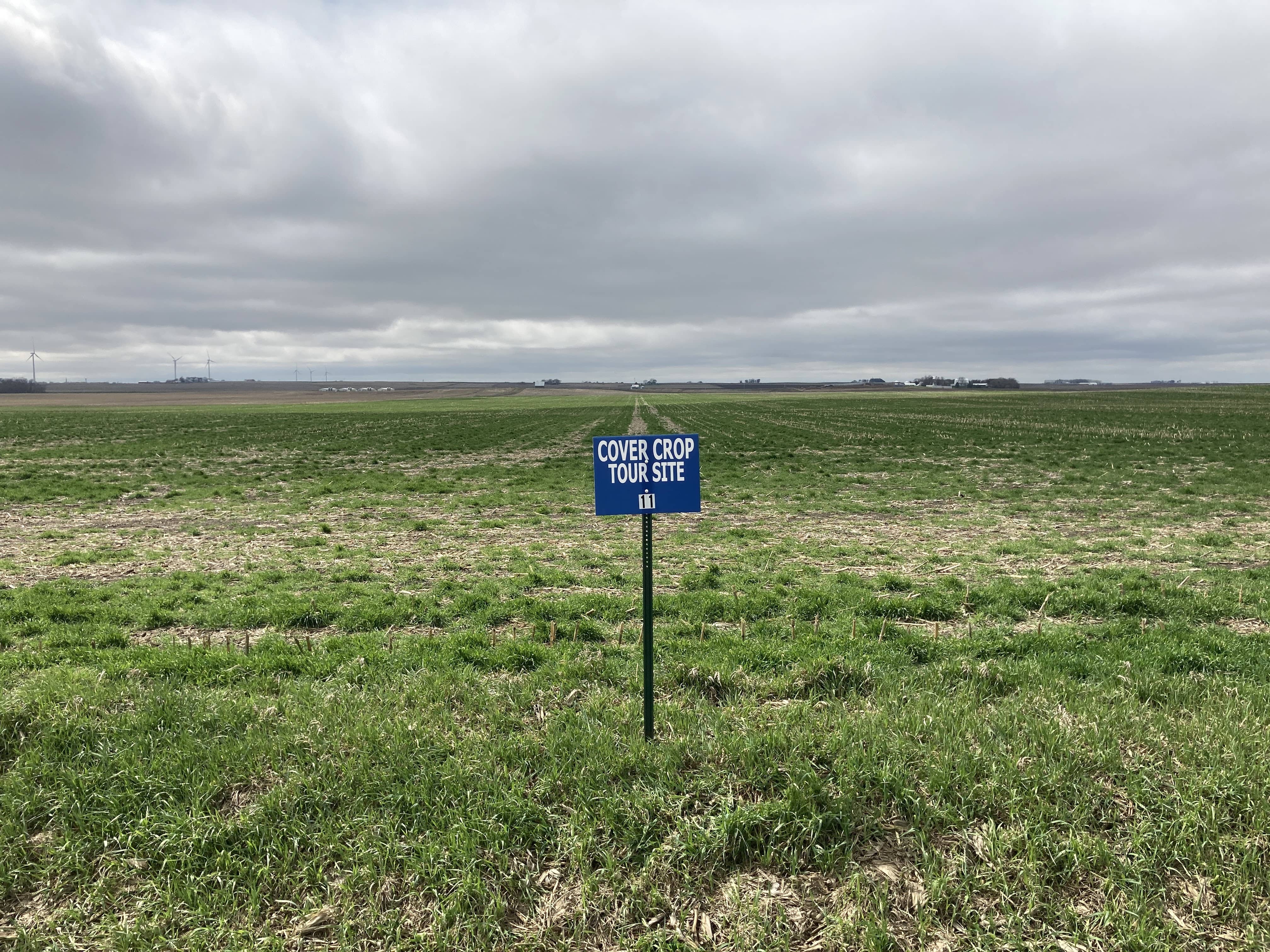 black-hawk-lake-watershed-staff-open-cover-crop-tour-for-area-farmers