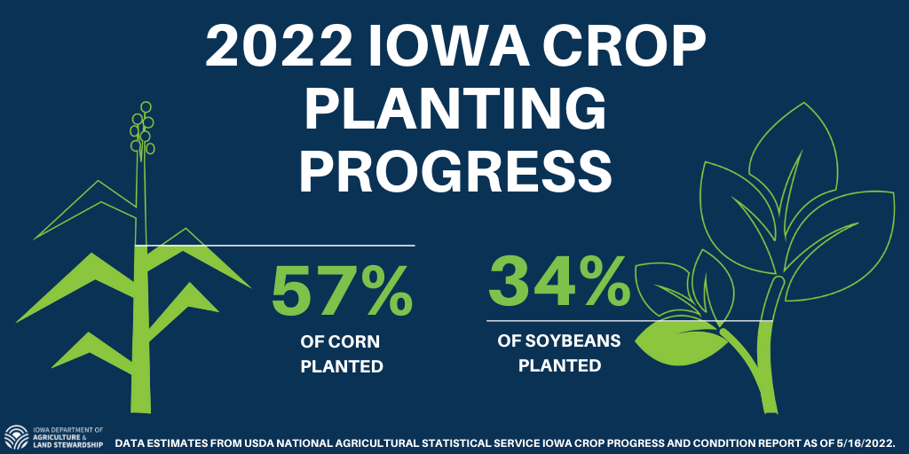Producers Made Significant Planting Progress Last Week According To Latest Crop Progress And Condition Report - Vimarsana News