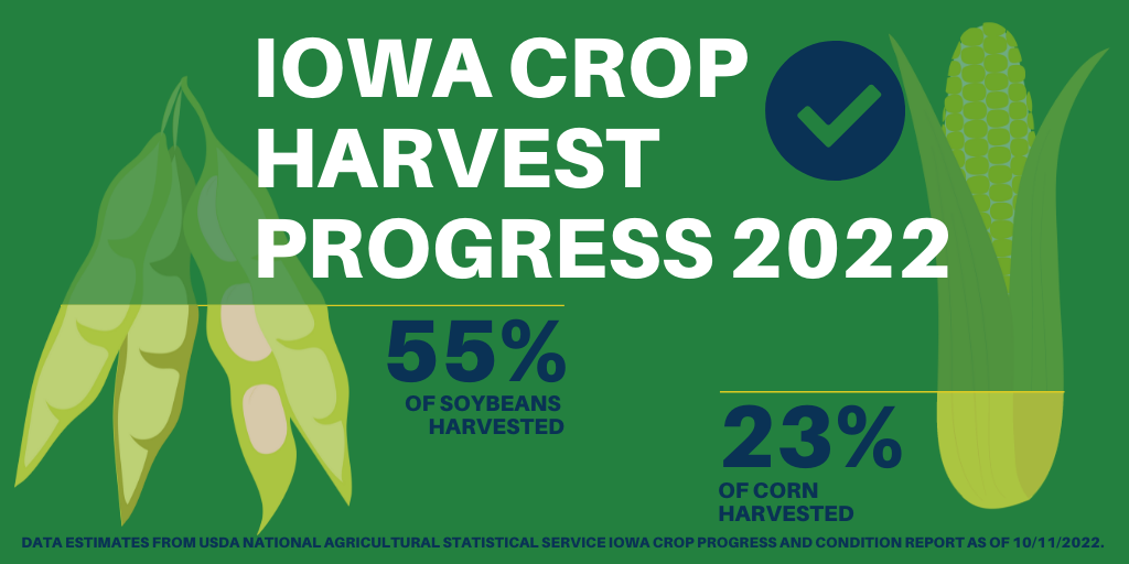 Iowa's Soybean Harvest Over Half Finished According To USDA | CBC Online - Vimarsana News