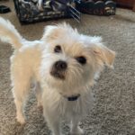 413DF885-BFE5-45C2-B30E-F43A21D93BB9