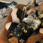 E9EFC1A6-4159-4367-BCC3-884827C1BF7B