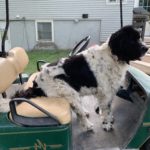 A4B85D40-3EA3-442D-B3C2-AB97D4435374