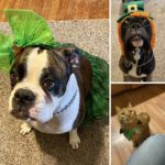 31D357CD-EE7B-4C10-8015-C3AC89D67076