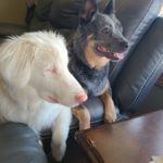 inbound5826013695282026238