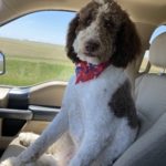 0BFAE399-EFB6-460F-988C-2BD78BAC94EC