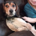 inbound372168749431877130