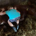 inbound6208252267141353232