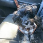 0A3BAA71-9386-4720-9A36-CDDA831541A6