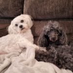 801BFFBA-57F8-462E-AEFF-E34DFE7F5E59