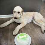 72251EBD-24C7-4010-83F1-CFAB41B260E8