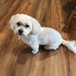 CF9CE35E-96C3-49BD-BC17-2EFDF04CF2DC