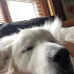 66089E28-0738-4695-A17D-81699FDD79DB