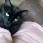 CA626651-D54D-4516-B3FD-A6C71B825B99