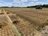 crop-issues-ndsu