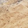 distillers-grains-ndsu