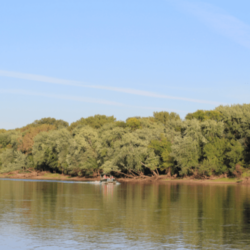 mississippi-river