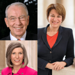 ernst-klobuchar-grassley