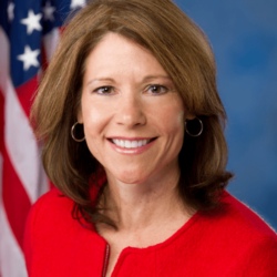 cheri-bustos-3