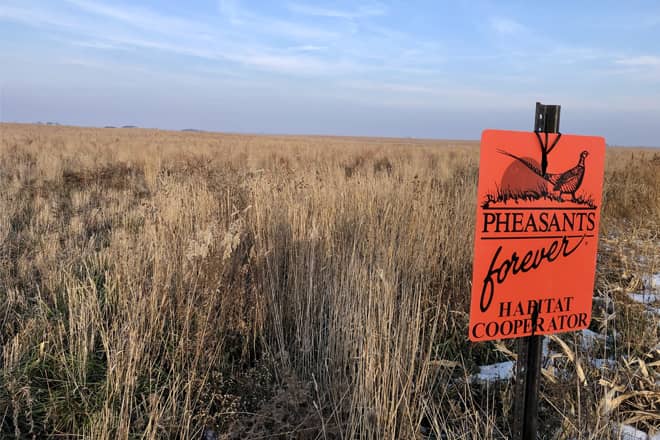 crp-habitat-sign-phesants-forever-jpg