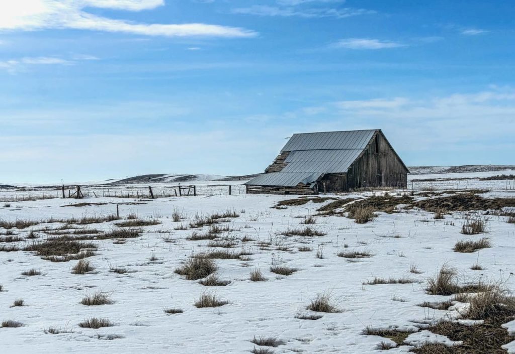 Critical Benefits of Snowpack for Winter Wheat Diminishing - Vimarsana News