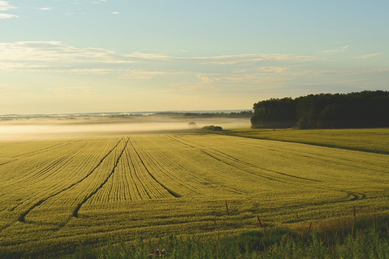 farm-5836815_1280-jpg