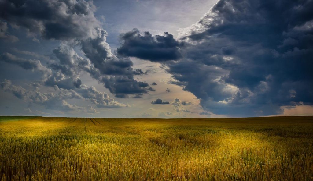 N.D. Producers with Planting Delays Should 'Stay in Touch' with Insurance Agents - Vimarsana News