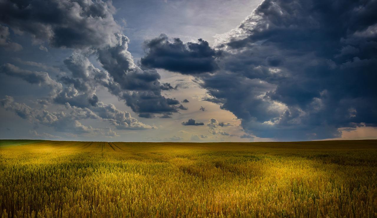 agriculture-1846341_1280-jpg