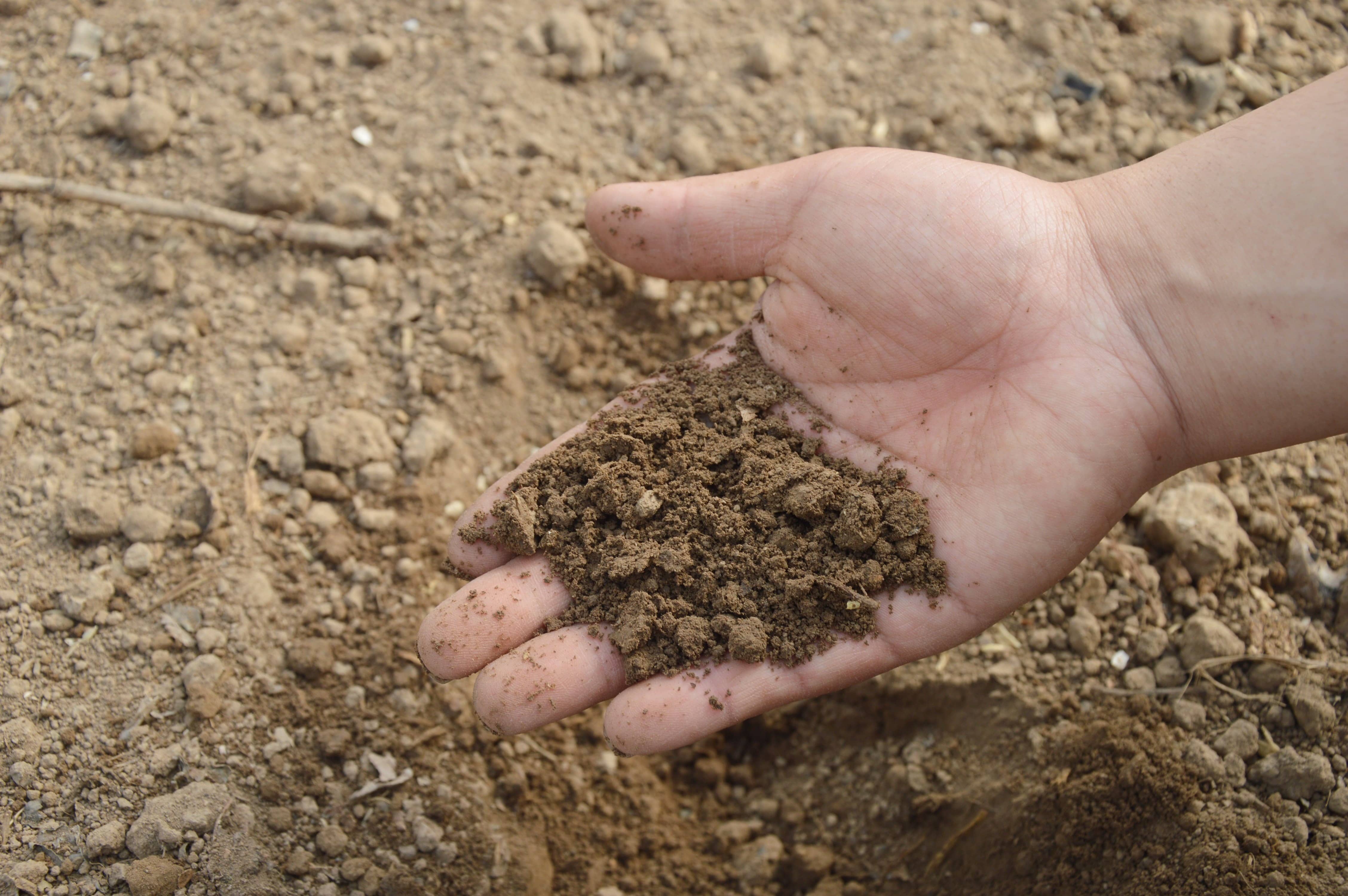 soil-766281-jpg-2