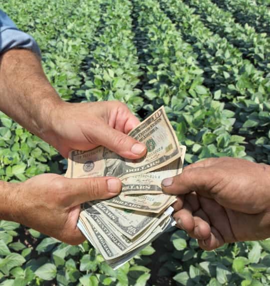 stock_farmmoney-jpg-4