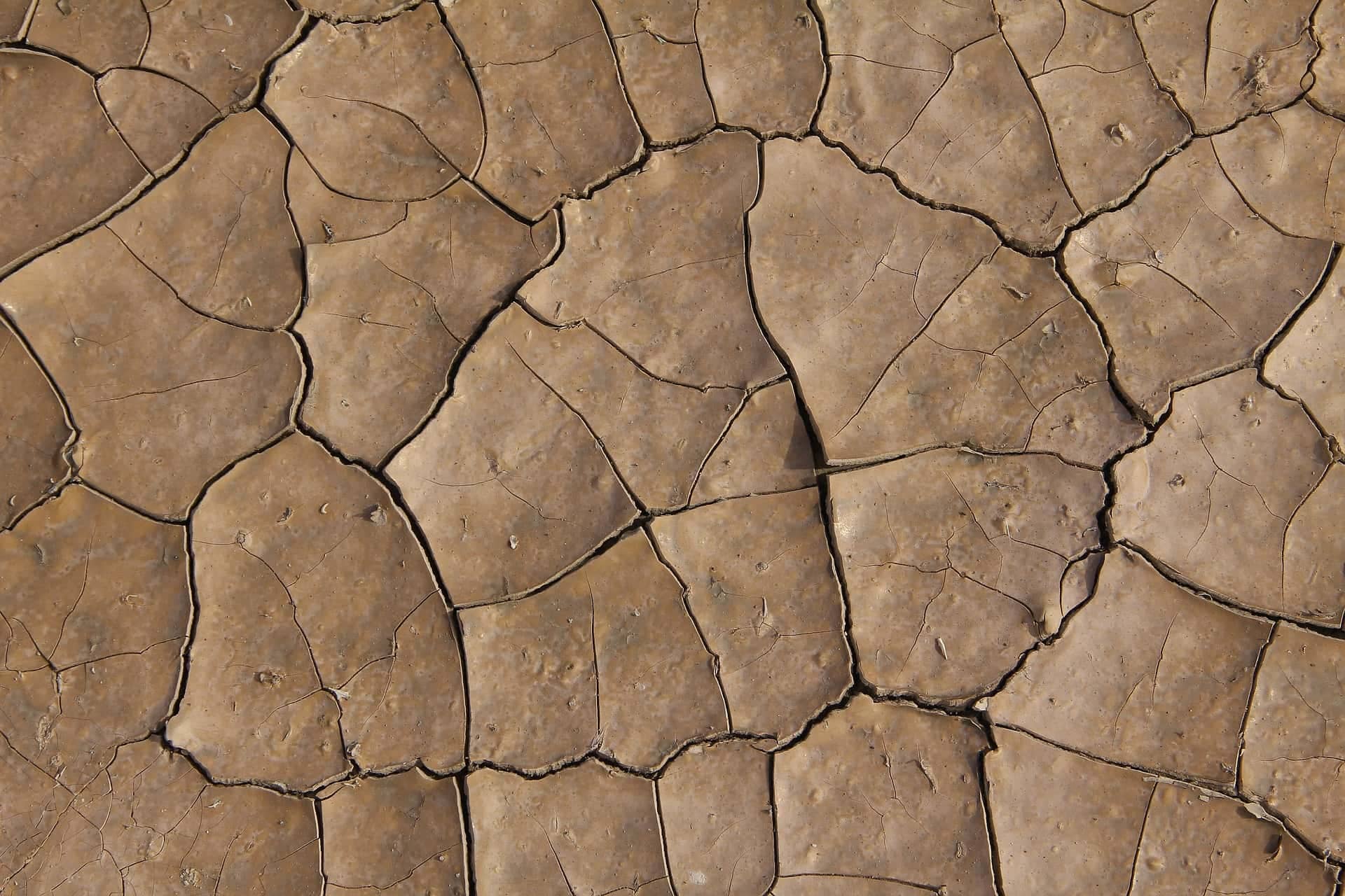 earth-2223292_1920-jpg