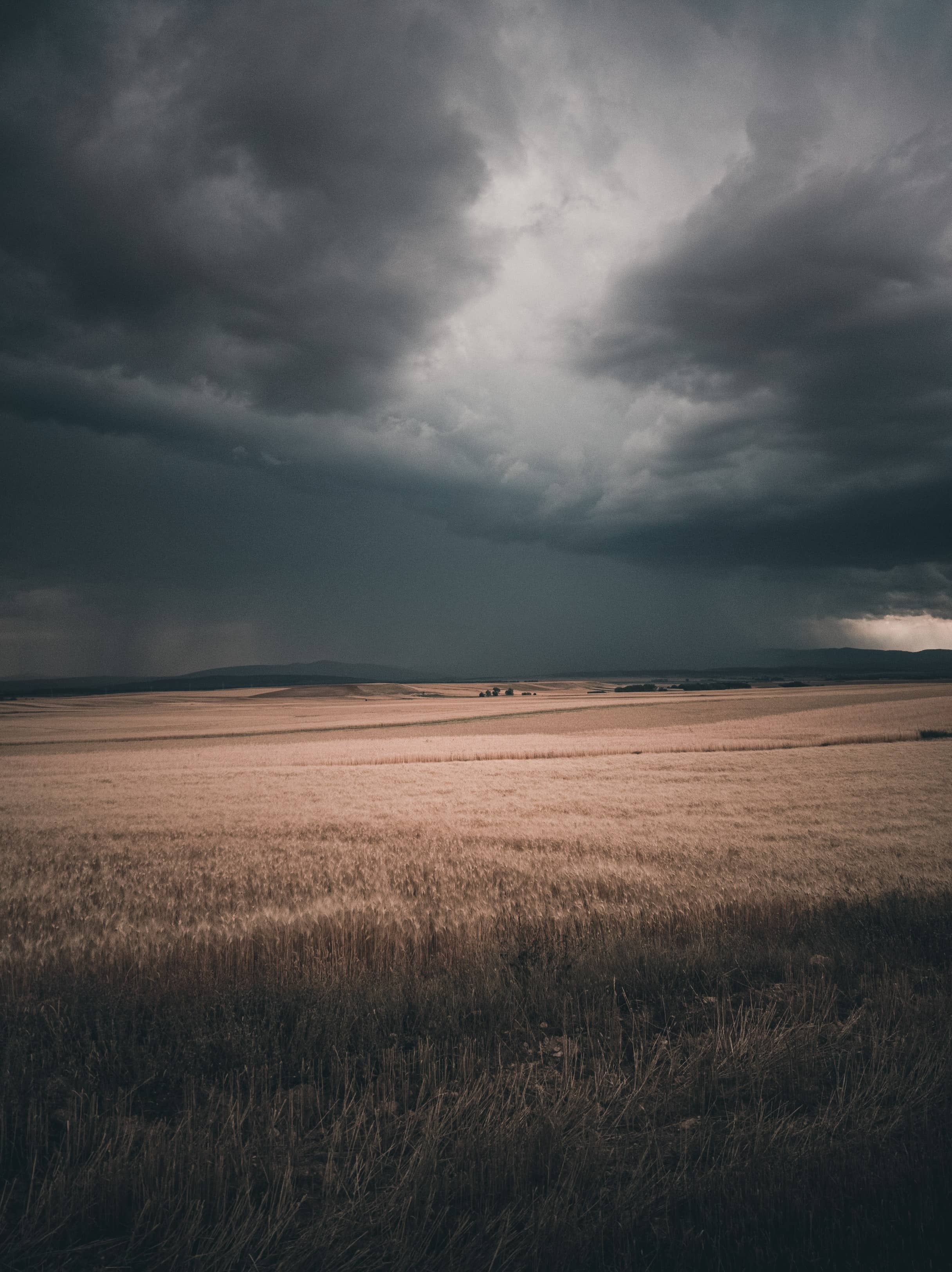 bahadir-ioze13fpvmc-unsplash-jpg