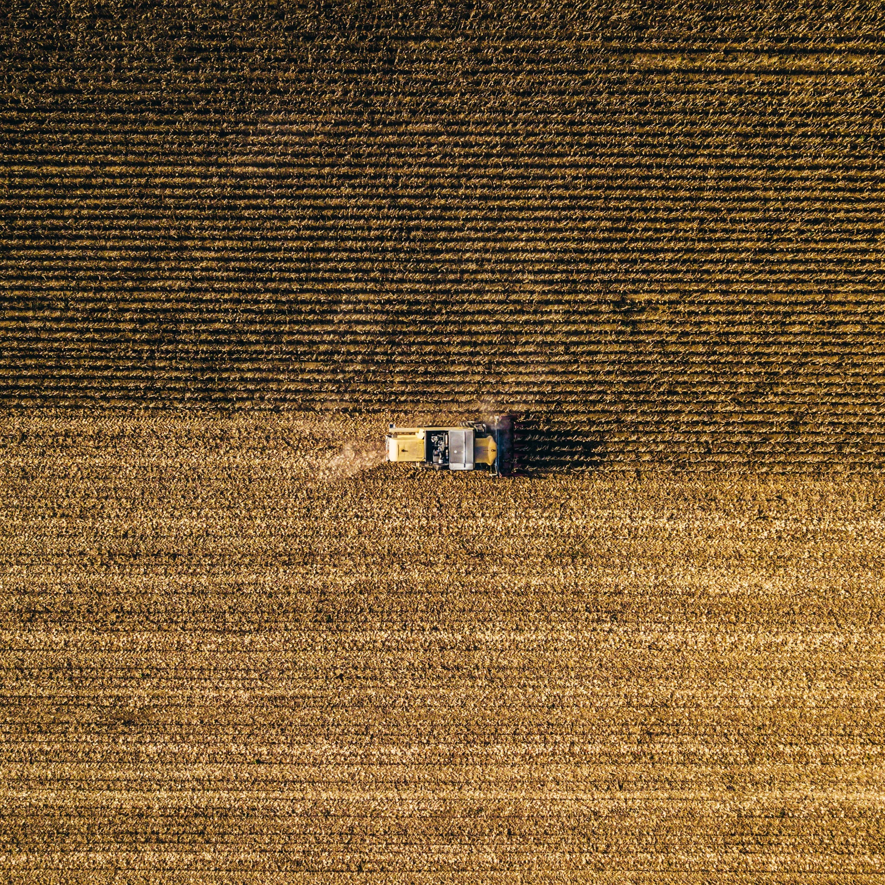 bence-balla-schottner-b1fs5jqrslo-unsplash-jpg
