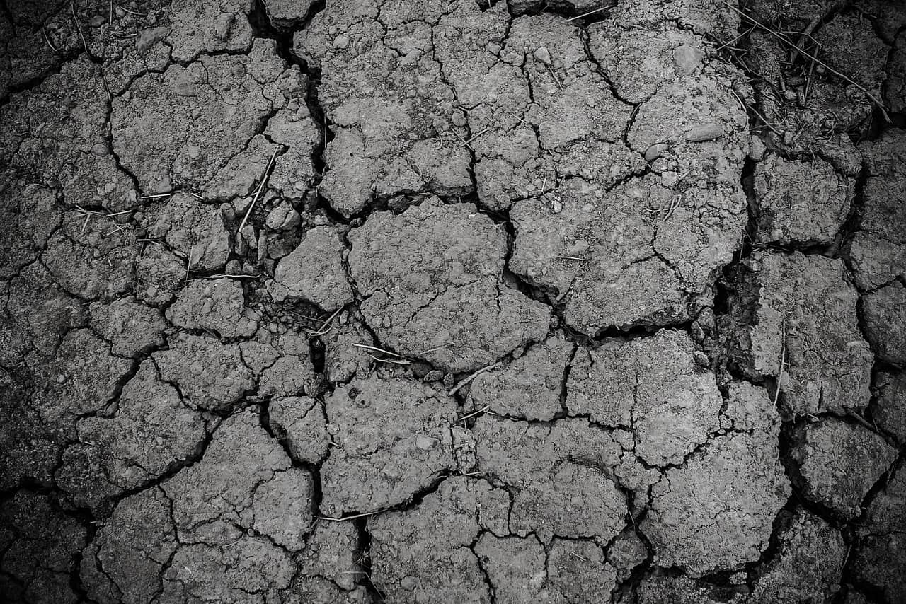ground-1836537_1280-jpg