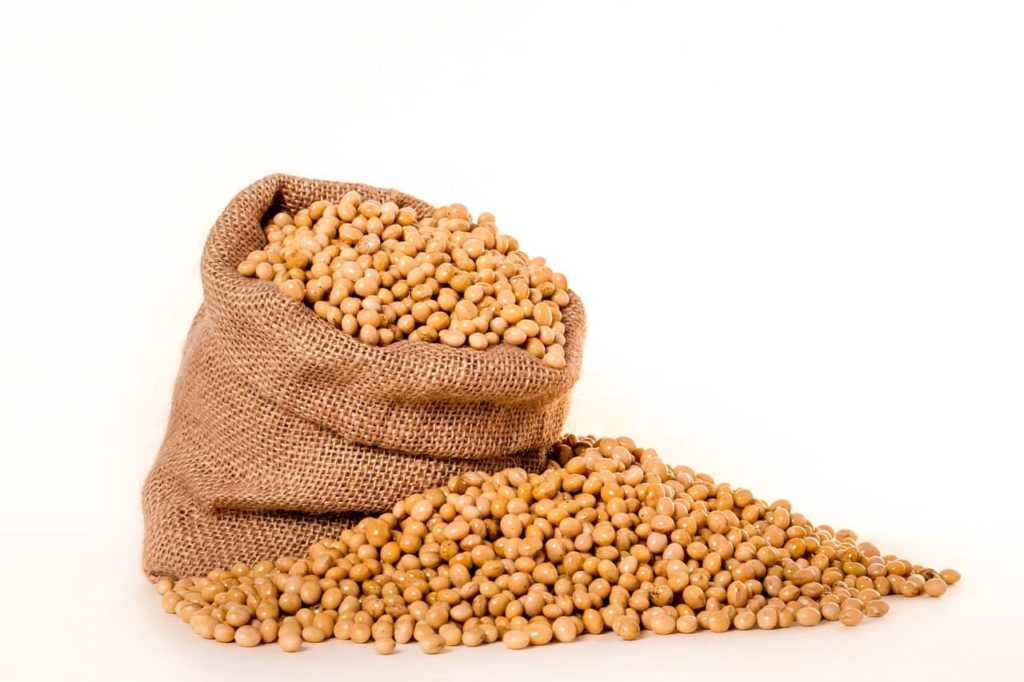 Checkoff Supports Research to Expand Soy Meal Exports - Vimarsana News