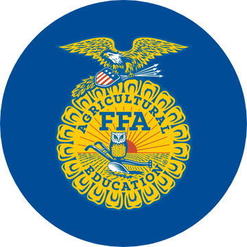 dd5_kity_400x400-png