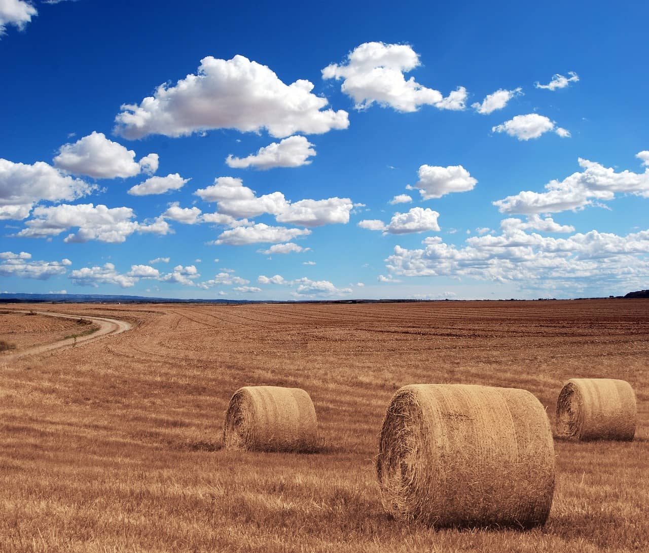 hay-bales-644440_1280-jpg