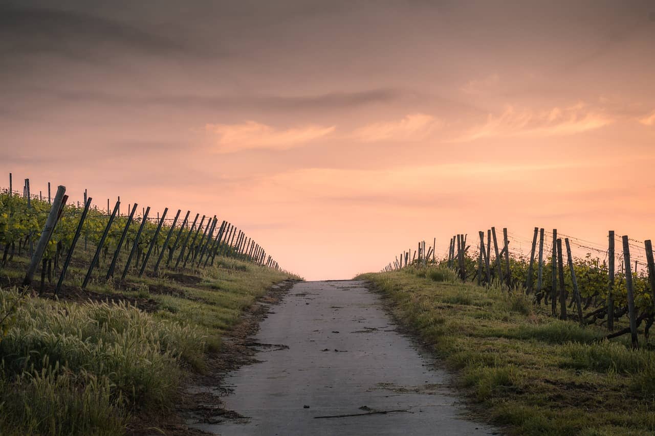 crops-1835847_1280-jpg-2