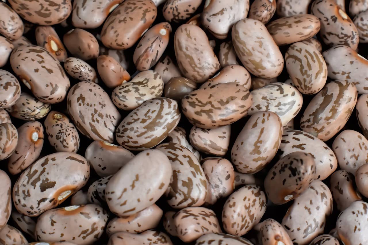 pinto-beans-g55bd13c88_1280-jpg