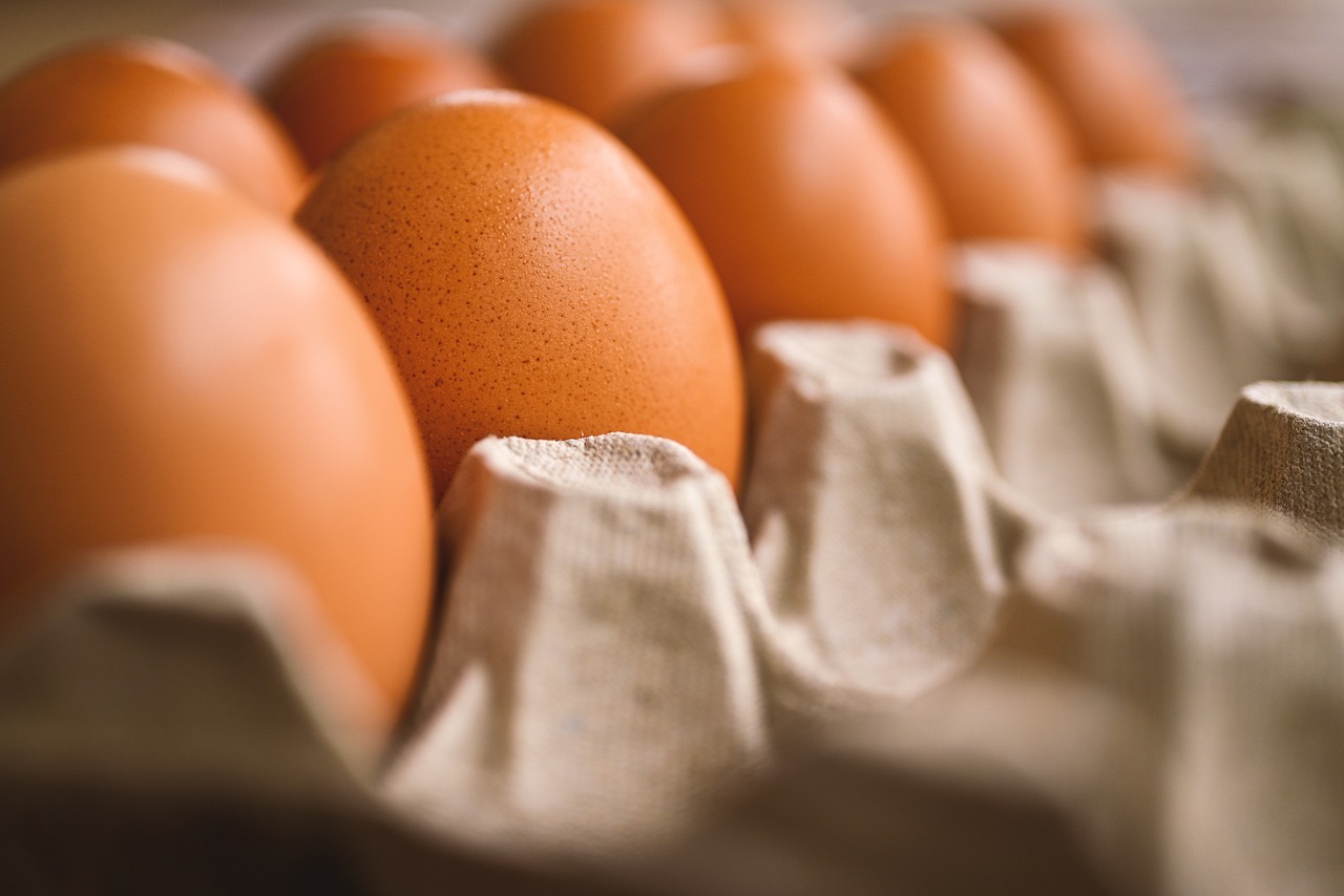 egg-7345934_1280-jpg-2