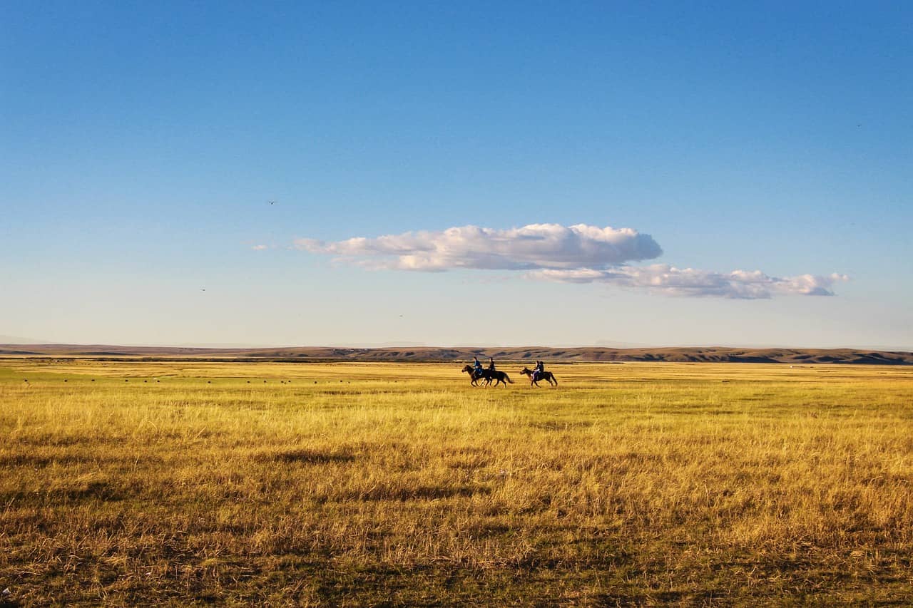 horse-riding-678678_1280-jpg