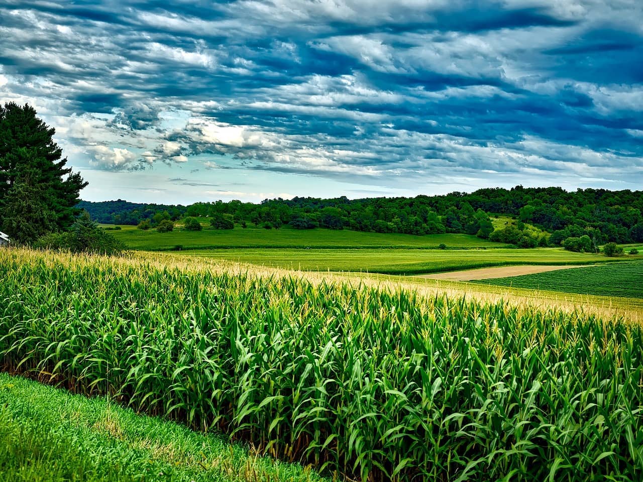 wisconsin-1808154_1280-jpg-2