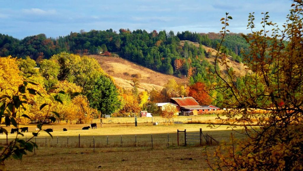 USFS Commits to Visit North Dakota Ranchers, Energy Producers - Vimarsana News
