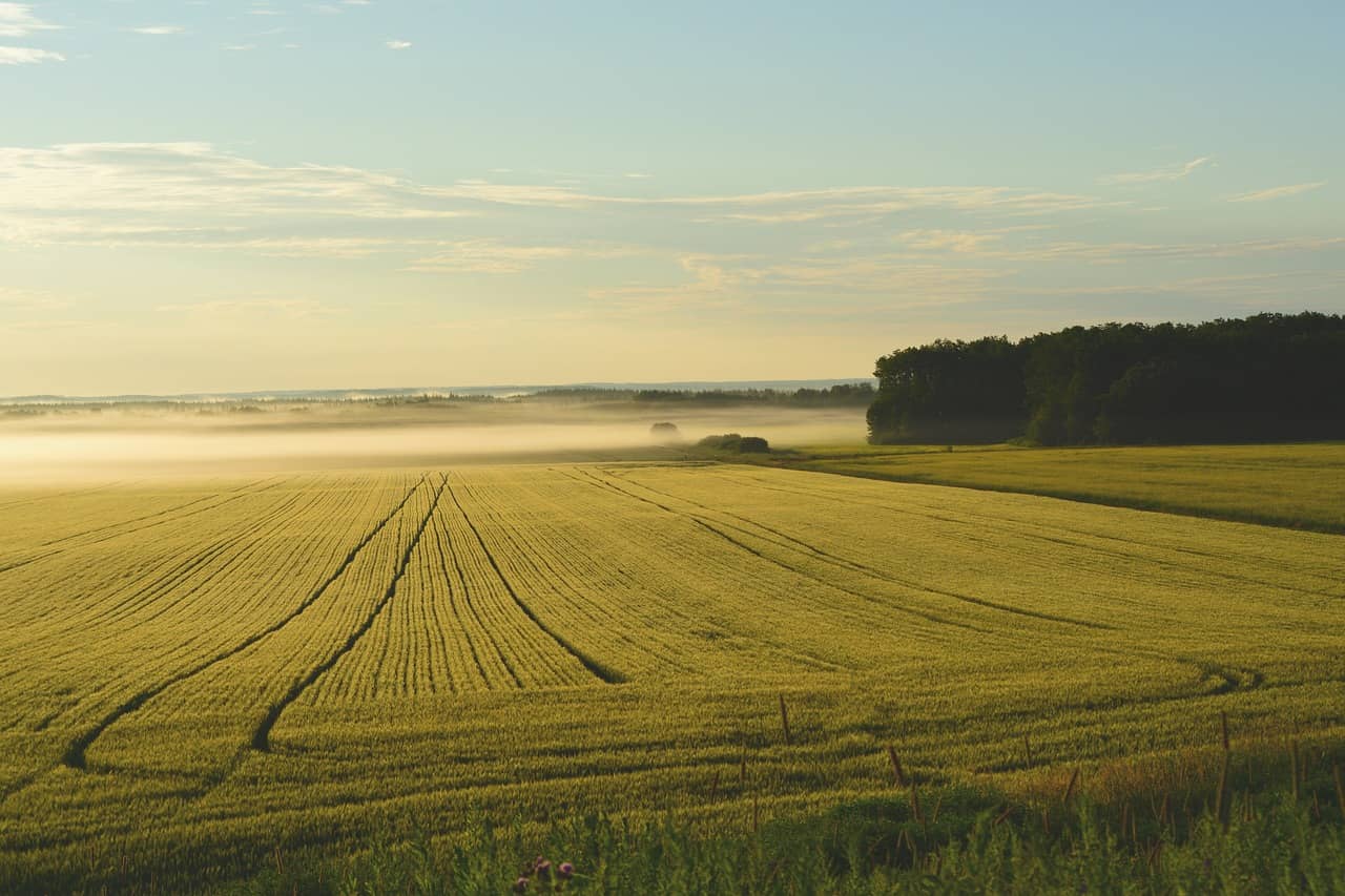 farm-5836815_1280-jpg-4