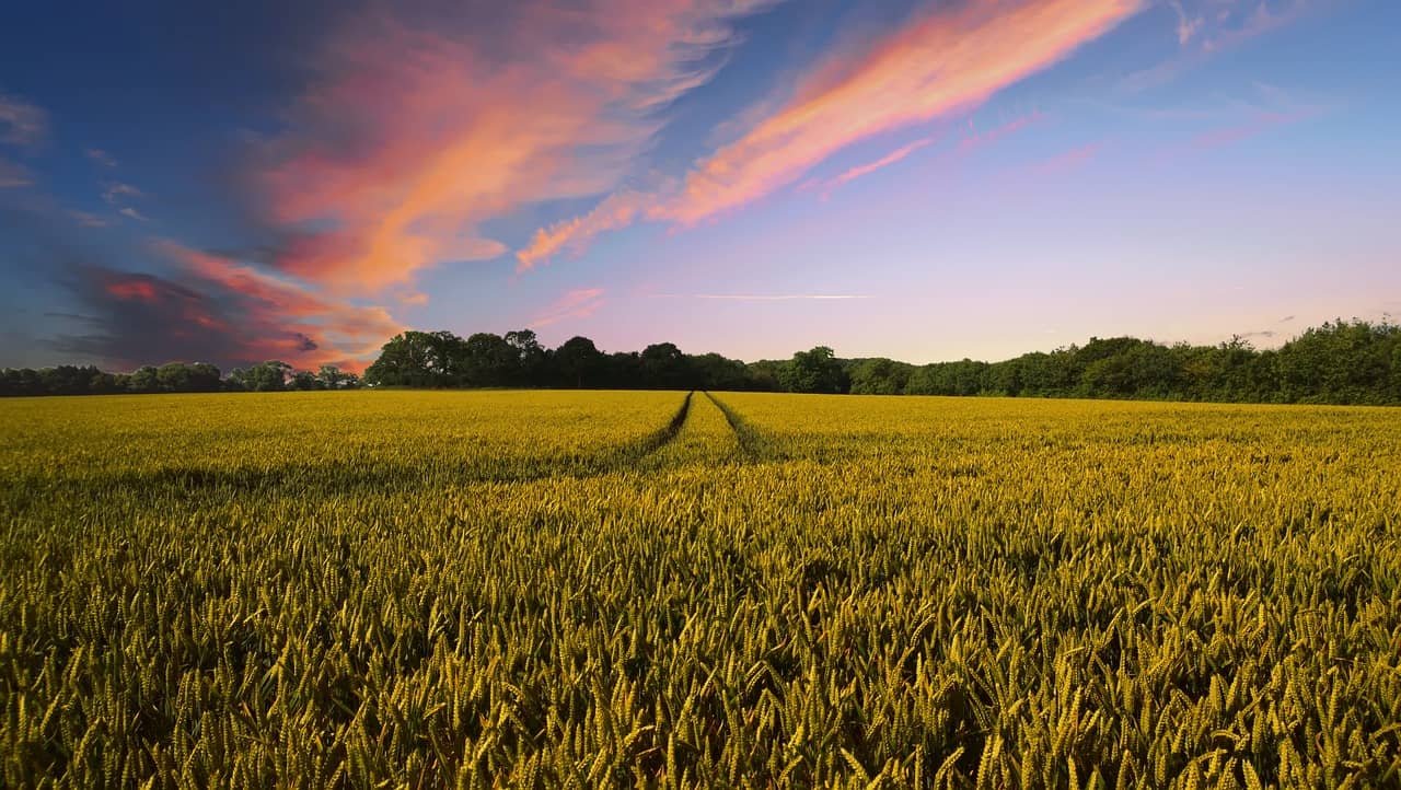 countryside-gd922c1665_1280-jpg-2