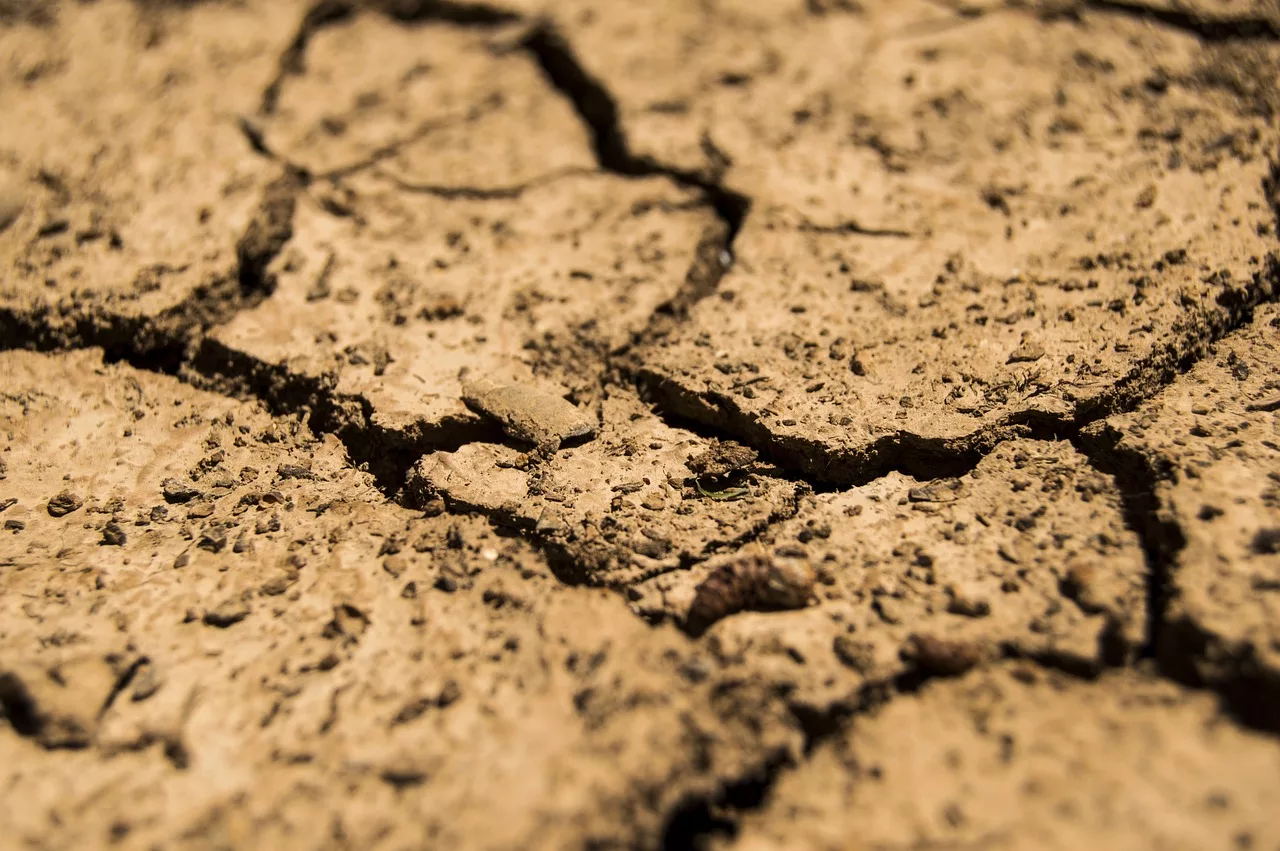 drought-780088_1280-jpg