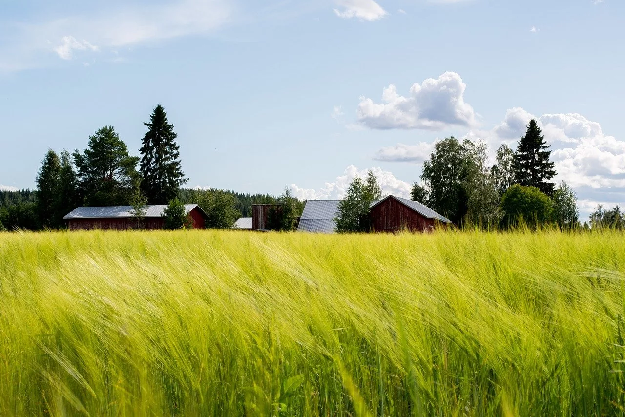 field-8139258_1280-jpg
