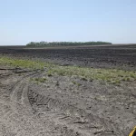 pxl_20250511_195307736