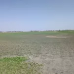 pxl_20250511_195548074