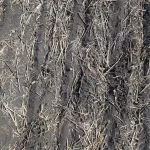 pxl_20250514_212321250